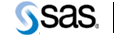SAS IT Service Vision