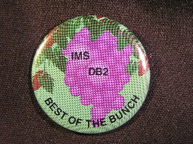 Best of the Bunch - IMS DB2
