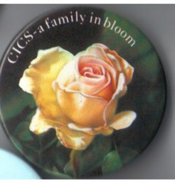 CICS - a family in blook