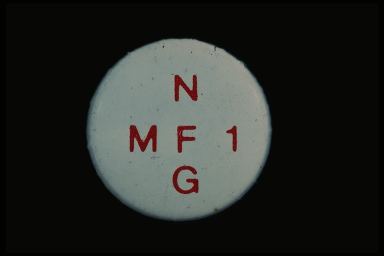 MF1 NFG cross
