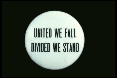 UNITED WE FALL DIVIDED WE STAND