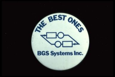 THE BEST ONES - BGS SYSTEMS INC.