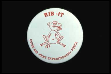 RIB-IT GUIDE RIB JOINT EXPEDITIONARY FORCE