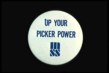 UP YOUR PICKER POWER - MSS