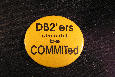 Button 1135