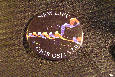 Button 1137