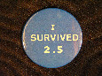 Button 1178