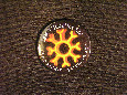 Button 1213