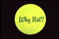 Button 295