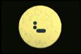 Button 321